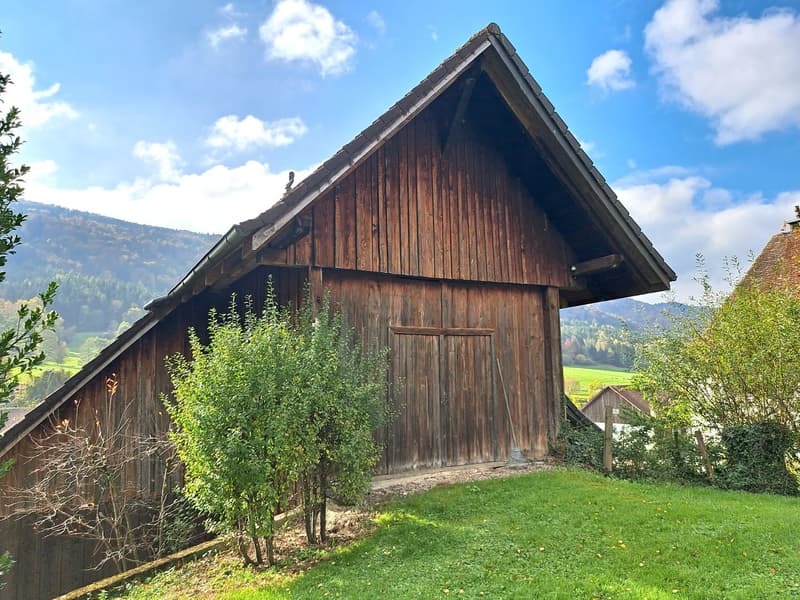 BIEN IMMOBILIER EXCEPTIONNEL - Grandiose maison villageoise de 2 appart. sur une grande parcelle (11)