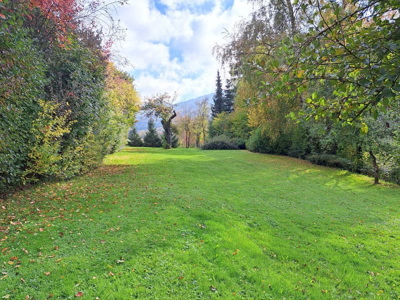 BIEN IMMOBILIER EXCEPTIONNEL - Grandiose maison villageoise de 2 appart. sur une grande parcelle (49)