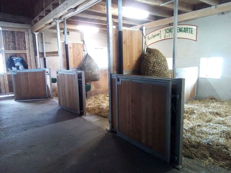 Offre exceptionnelle et très rare - Magnifique ferme villageoise totalement rénovée sur 4'385 m² (9)