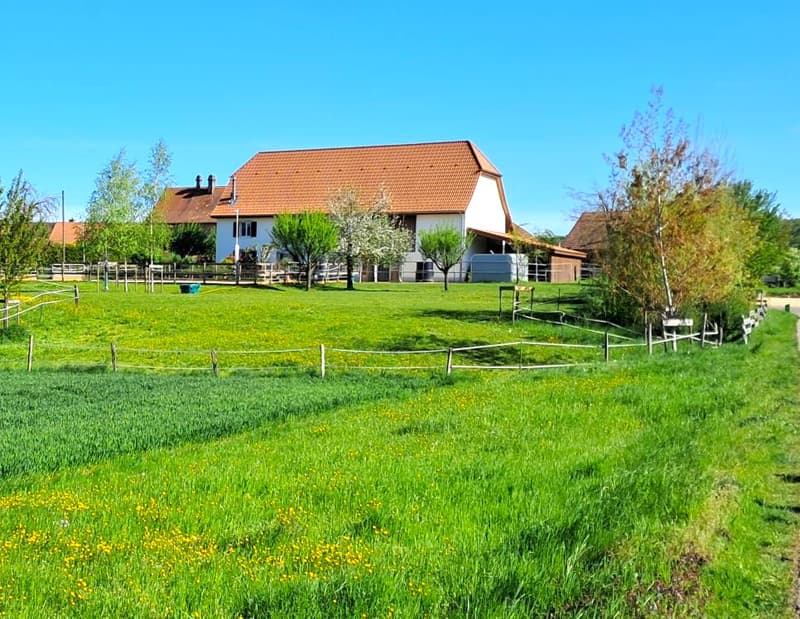 Offre exceptionnelle et très rare - Magnifique ferme villageoise totalement rénovée sur 4'385 m² (1)