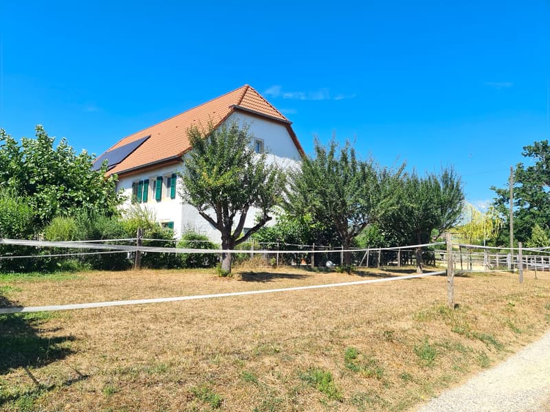 Offre exceptionnelle et très rare - Magnifique ferme villageoise totalement rénovée sur 4'385 m² (4)