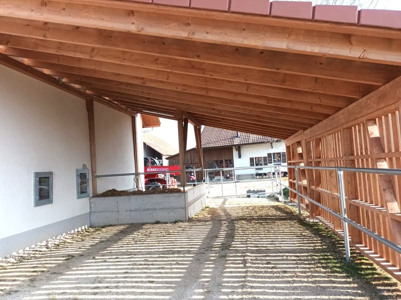 Offre exceptionnelle et très rare - Magnifique ferme villageoise totalement rénovée sur 4'385 m² (7)