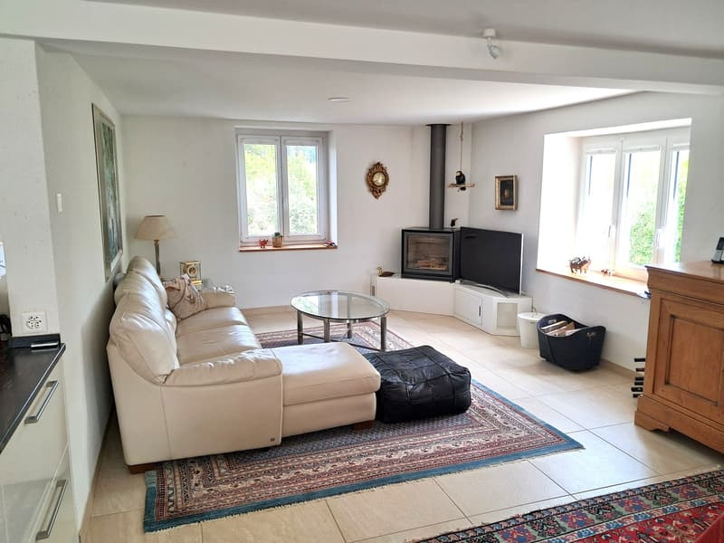 Offre exceptionnelle et très rare - Magnifique ferme villageoise totalement rénovée sur 4'385 m² (17)