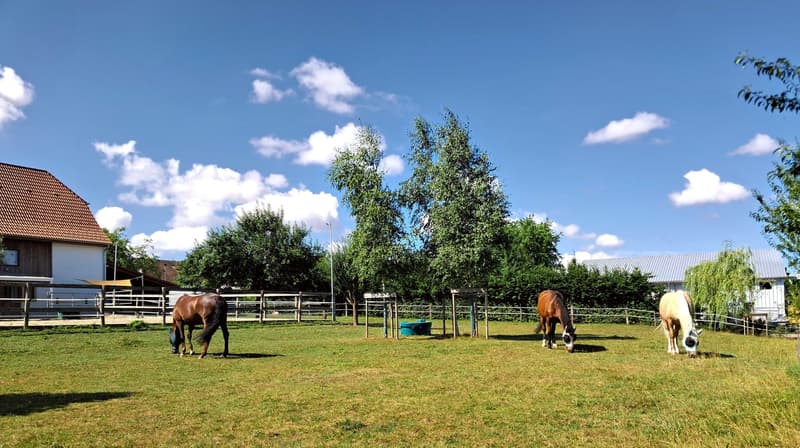Offre exceptionnelle et très rare - Magnifique ferme villageoise totalement rénovée sur 4'385 m² (4)
