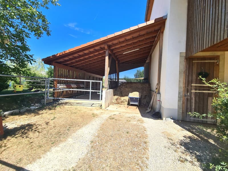 Offre exceptionnelle et très rare - Magnifique ferme villageoise totalement rénovée sur 4'385 m² (10)