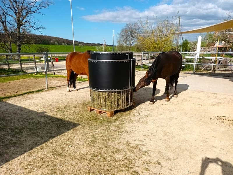 Offre exceptionnelle et très rare - Magnifique ferme villageoise totalement rénovée sur 4'385 m² (5)