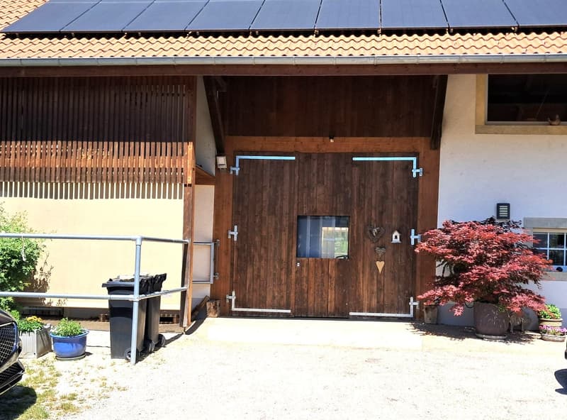 Offre exceptionnelle et très rare - Magnifique ferme villageoise totalement rénovée sur 4'385 m² (8)