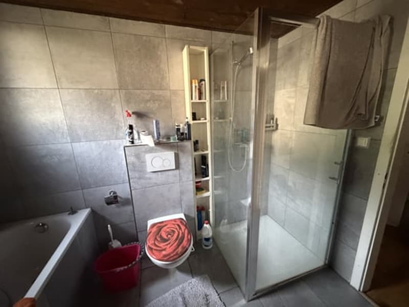 Grande maison comprenant 2 appartements, avec en plus, un excellent potentiel à mettre en valeur (14)