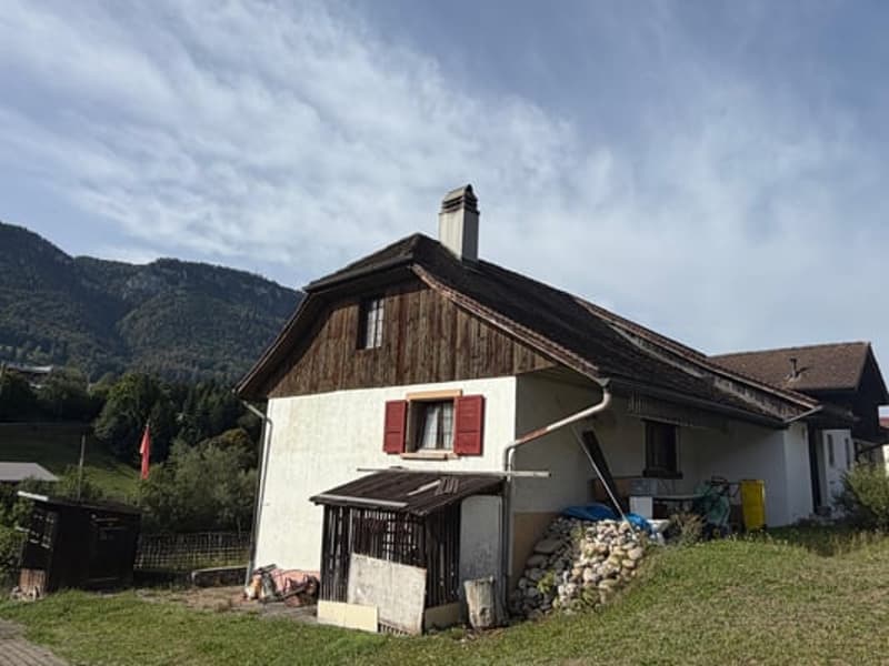 Grande maison comprenant 2 appartements, avec en plus, un excellent potentiel à mettre en valeur (8)