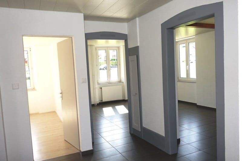 A louer charmant appartement de 3,5 pièces au rez-de-chaussée d'un petit immeuble (3)