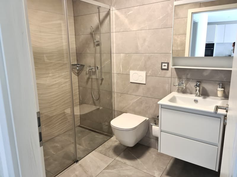 A louer magnifique appart. de 2,5 pièces dans immeuble comme neuf avec place de parc dans le garage (4)