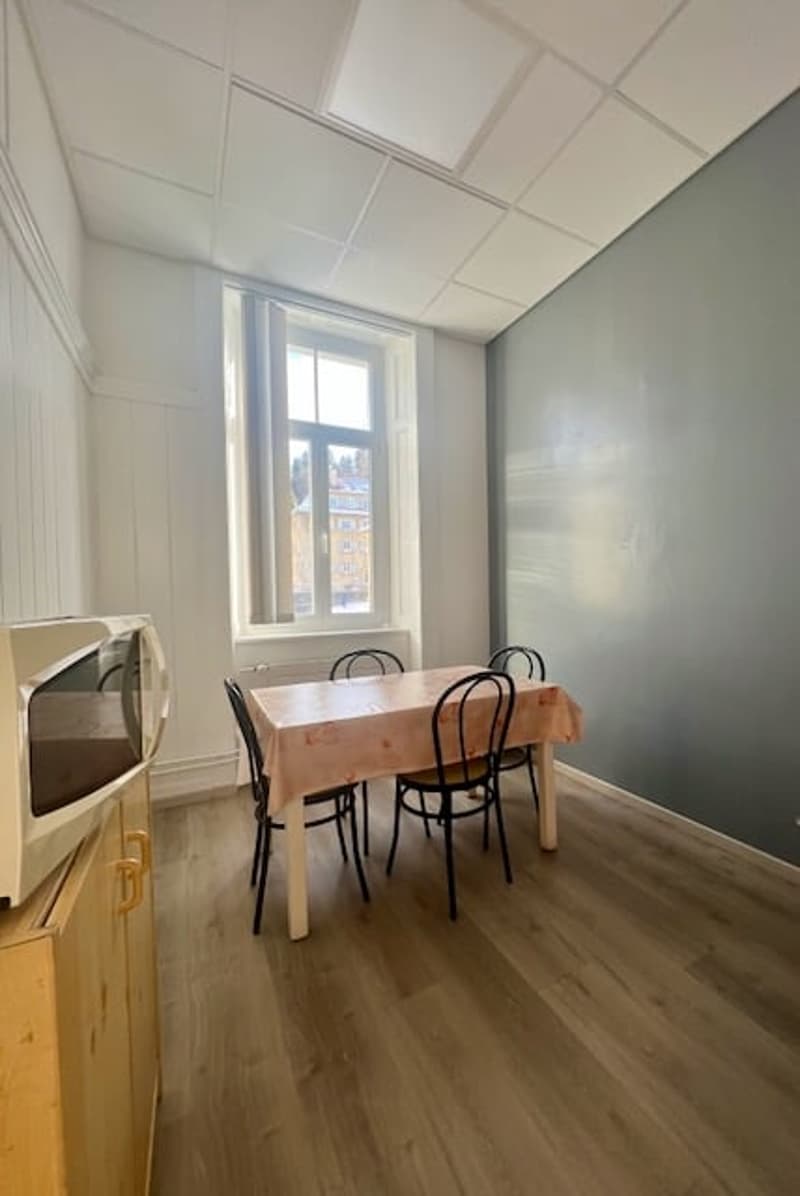 A vendre ! Très bel Immeuble mixte, avec 14 garages et 18 places de parc (6)