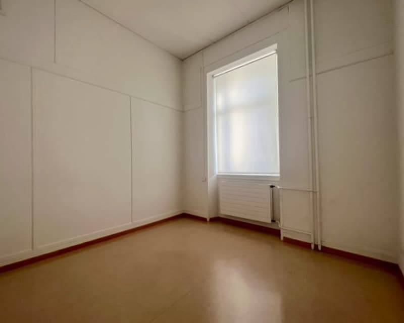A vendre ! Très bel Immeuble mixte, avec 14 garages et 18 places de parc (13)