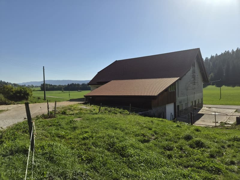 A vendre ferme aux volumes généreux (3)