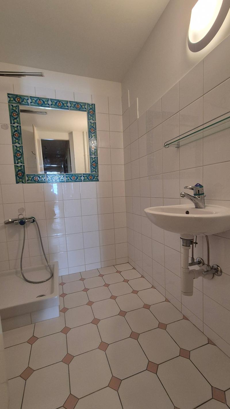 Small bathroom, white tiles, hexagonal floor tiles, mirror with decorative border, shower attachment, sink with faucet, glass shelf, toilet door