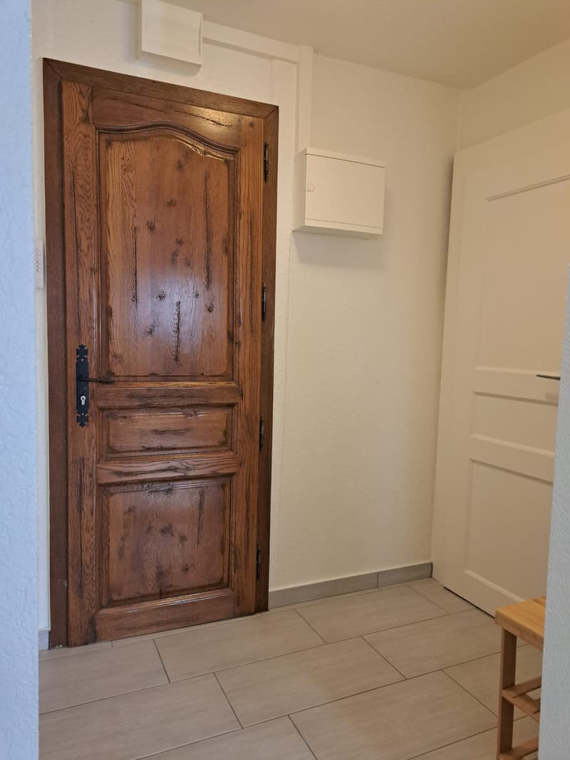 Appartement 2 pièces dans rue très calme au Locle (14)