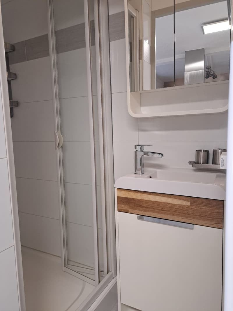 white shower, vanity with sink, wooden cabinet, modern design, mirror