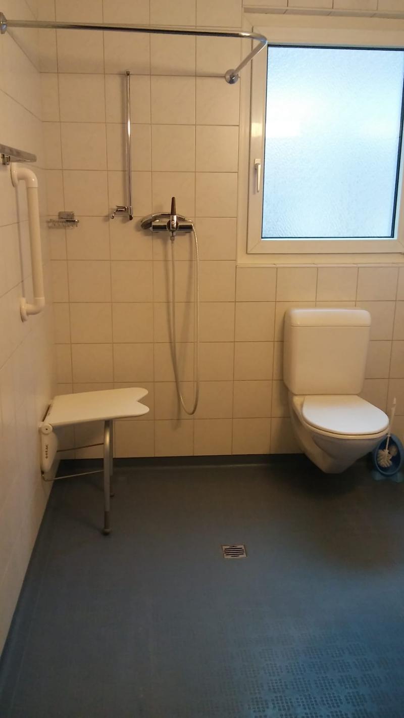 Tiled wall, toilet, folding table, showerhead, window