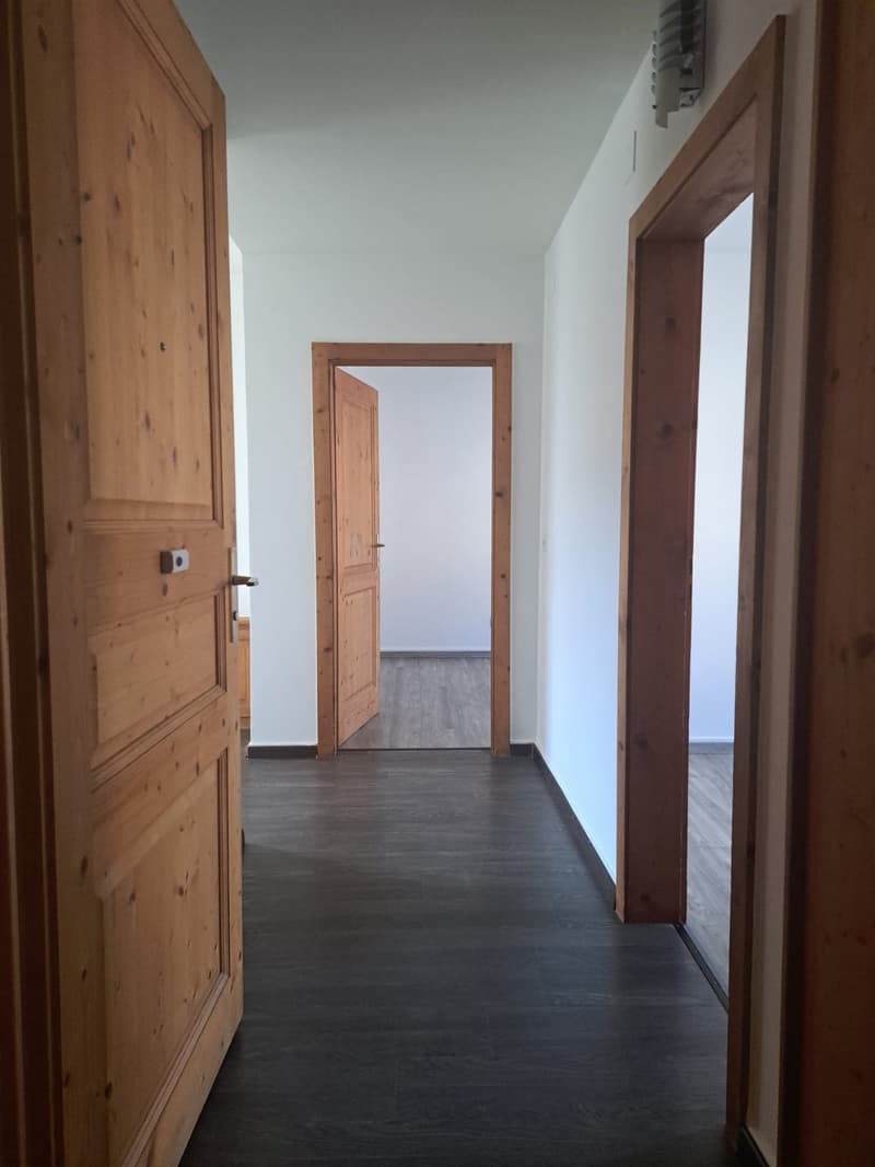 Empty hallway, wooden flooring, wooden doors, white walls