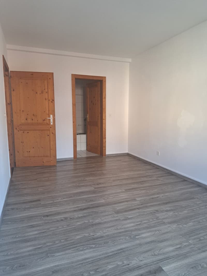 Empty room, wooden doors, white walls, wooden laminate floor