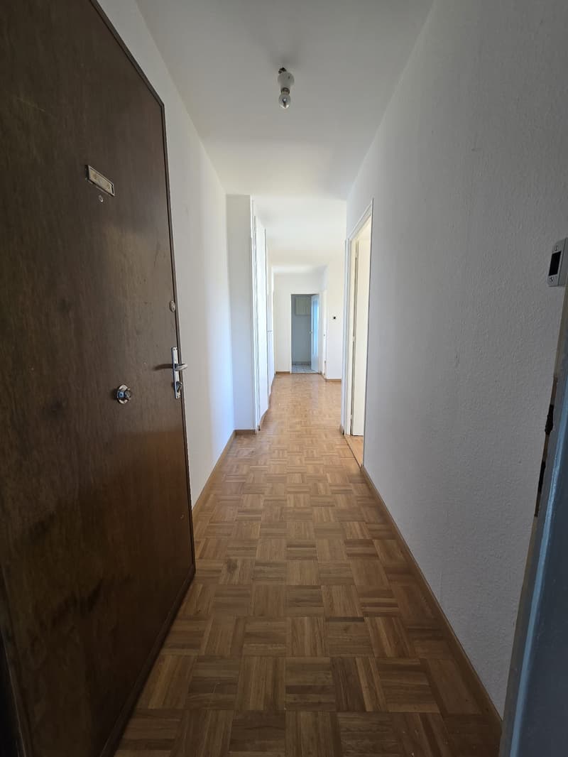 Empty hallway with wooden parquet flooring, white walls, and a ceiling light.