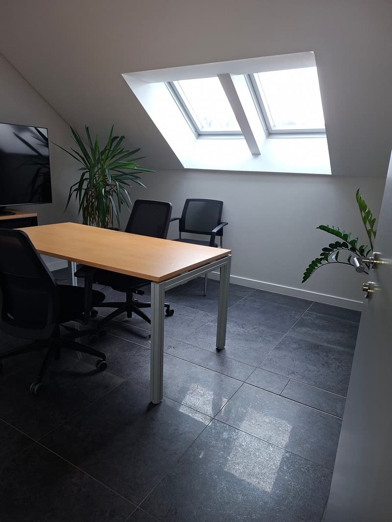 a small room with a desk, three chairs, two windows, a TV, and two potted plants