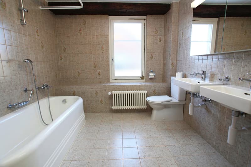 Bathtub, shower, toilet, double sink, radiator, mirror