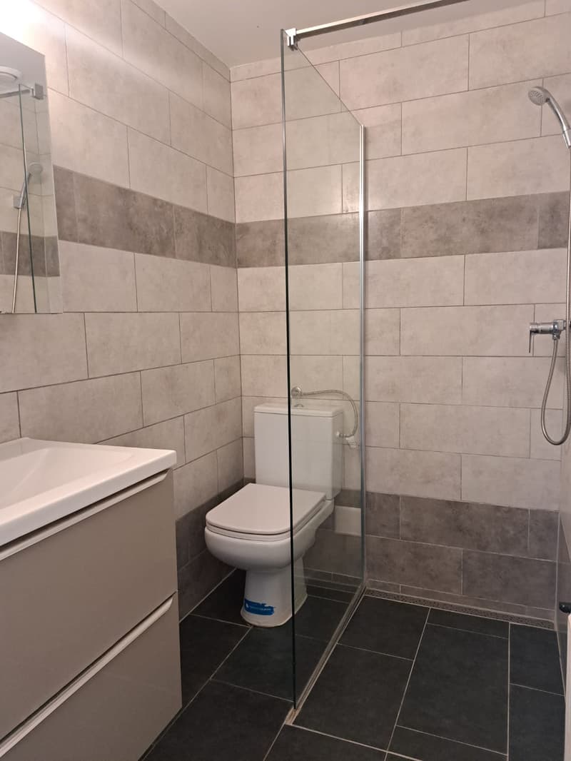 modern bathroom with white toilet, glass shower enclosure, white sink, gray tiles, and gray cabinets