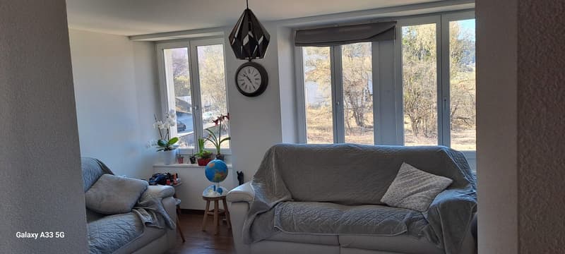 living room with two couches, a table, a globe, a clock, and plants