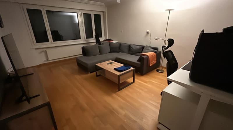 Appartement non meublé de 2 pièces à Laténa (4)