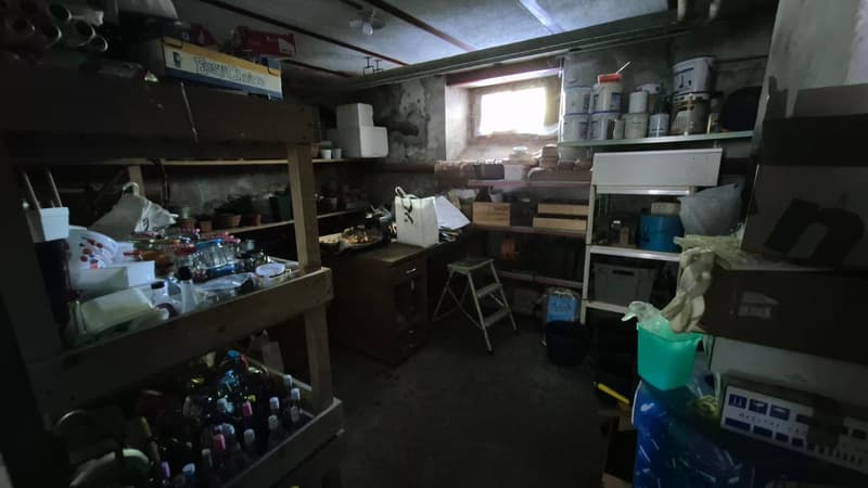 Nouveau PRIX ! Au cœur de la nature, ancienne douane de 3 appartements (24)