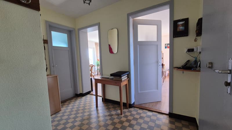 Nouveau PRIX ! Au cœur de la nature, ancienne douane de 3 appartements (20)