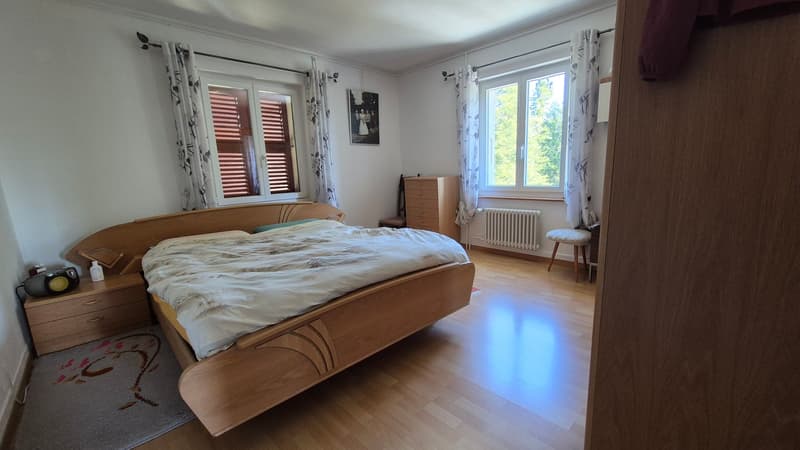 Nouveau PRIX ! Au cœur de la nature, ancienne douane de 3 appartements (17)