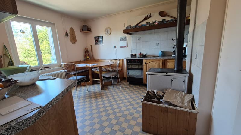 Nouveau PRIX ! Au cœur de la nature, ancienne douane de 3 appartements (13)