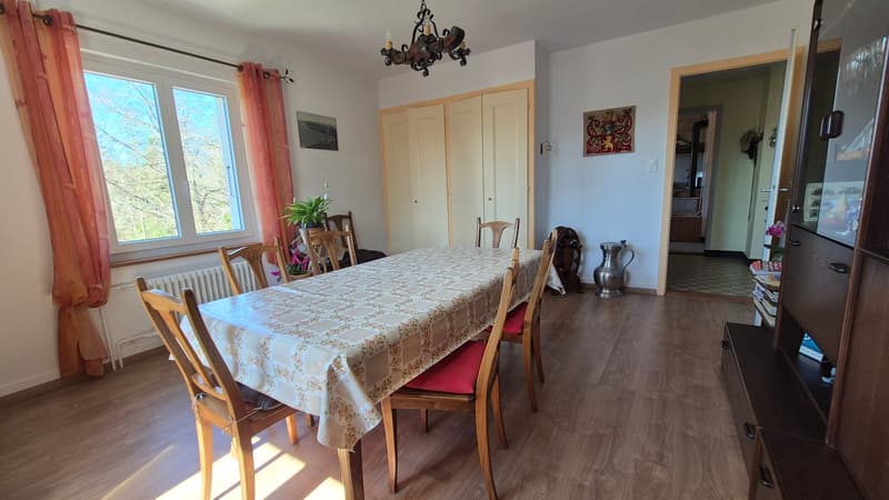 Nouveau PRIX ! Au cœur de la nature, ancienne douane de 3 appartements (16)