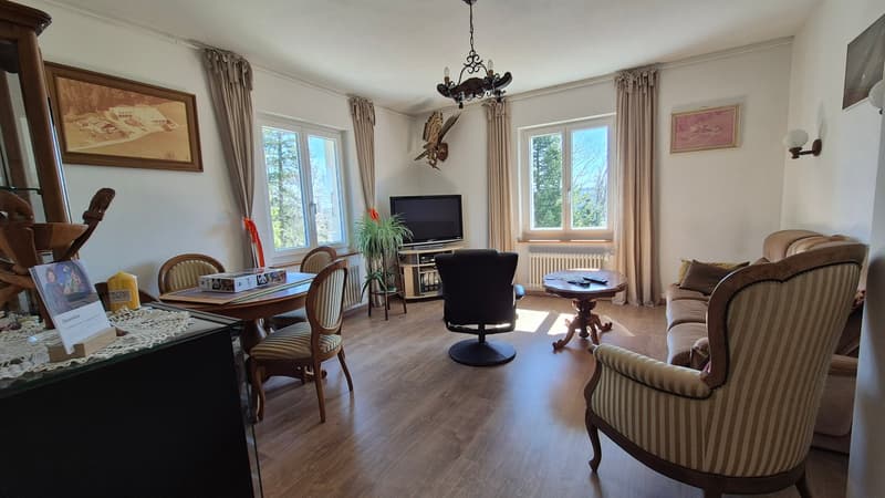 Nouveau PRIX ! Au cœur de la nature, ancienne douane de 3 appartements (18)