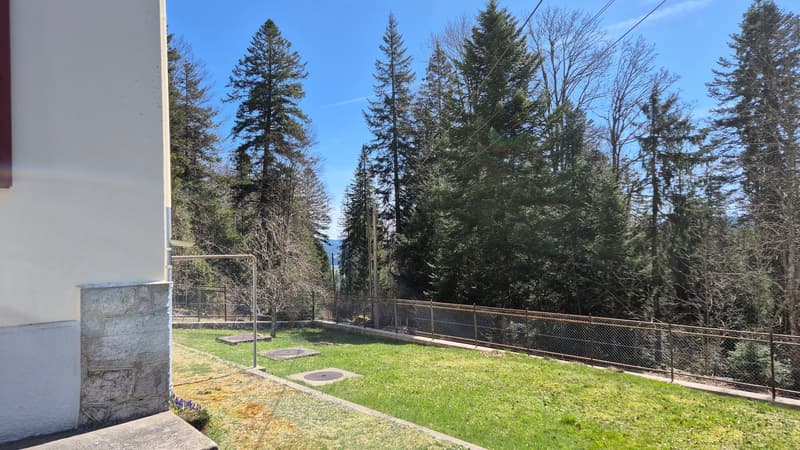 Nouveau PRIX ! Au cœur de la nature, ancienne douane de 3 appartements (21)