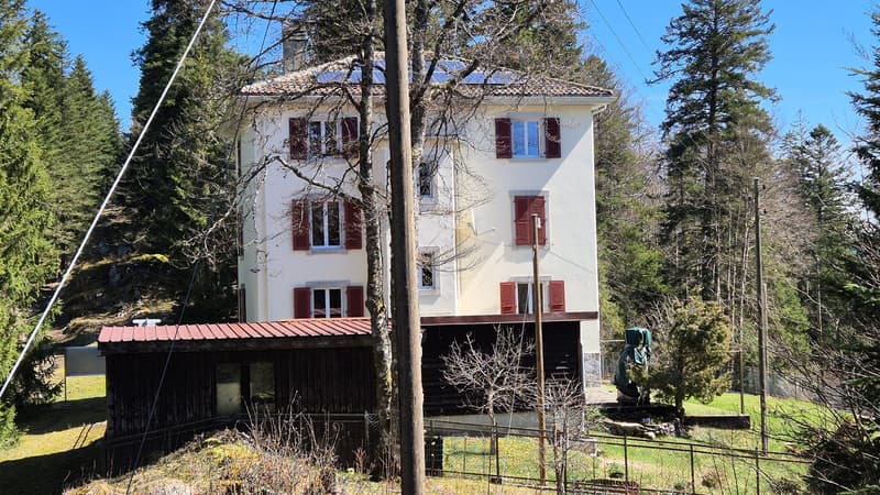 Nouveau PRIX ! Au cœur de la nature, ancienne douane de 3 appartements (2)
