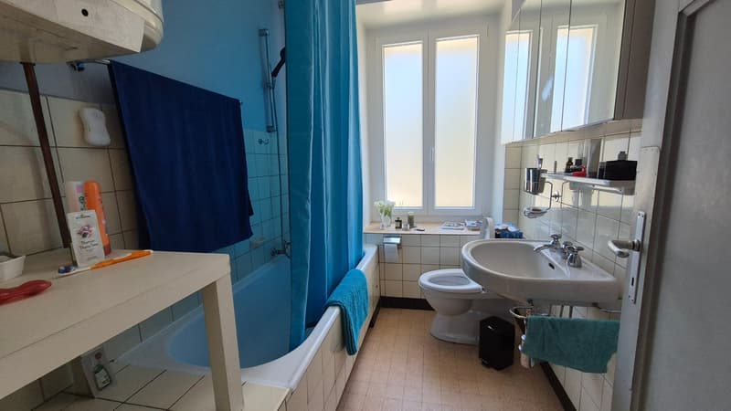 Nouveau PRIX ! Au cœur de la nature, ancienne douane de 3 appartements (19)