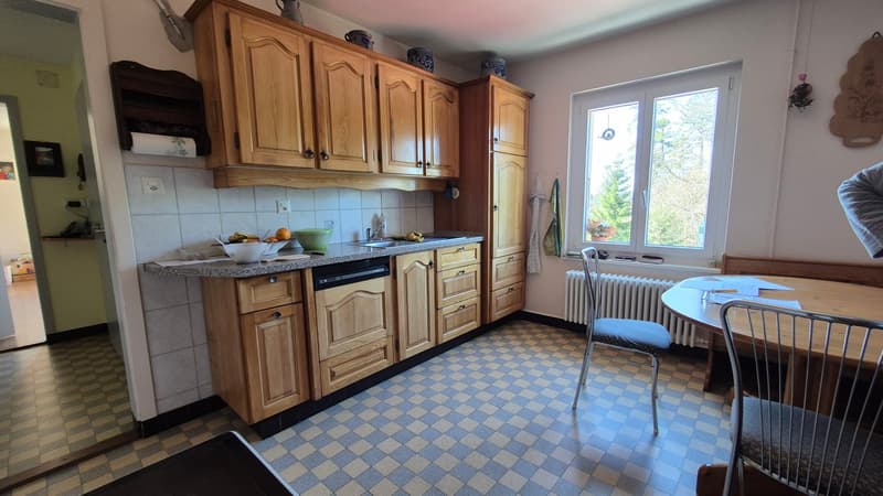 Nouveau PRIX ! Au cœur de la nature, ancienne douane de 3 appartements (8)
