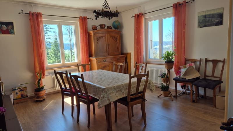 Nouveau PRIX ! Au cœur de la nature, ancienne douane de 3 appartements (15)