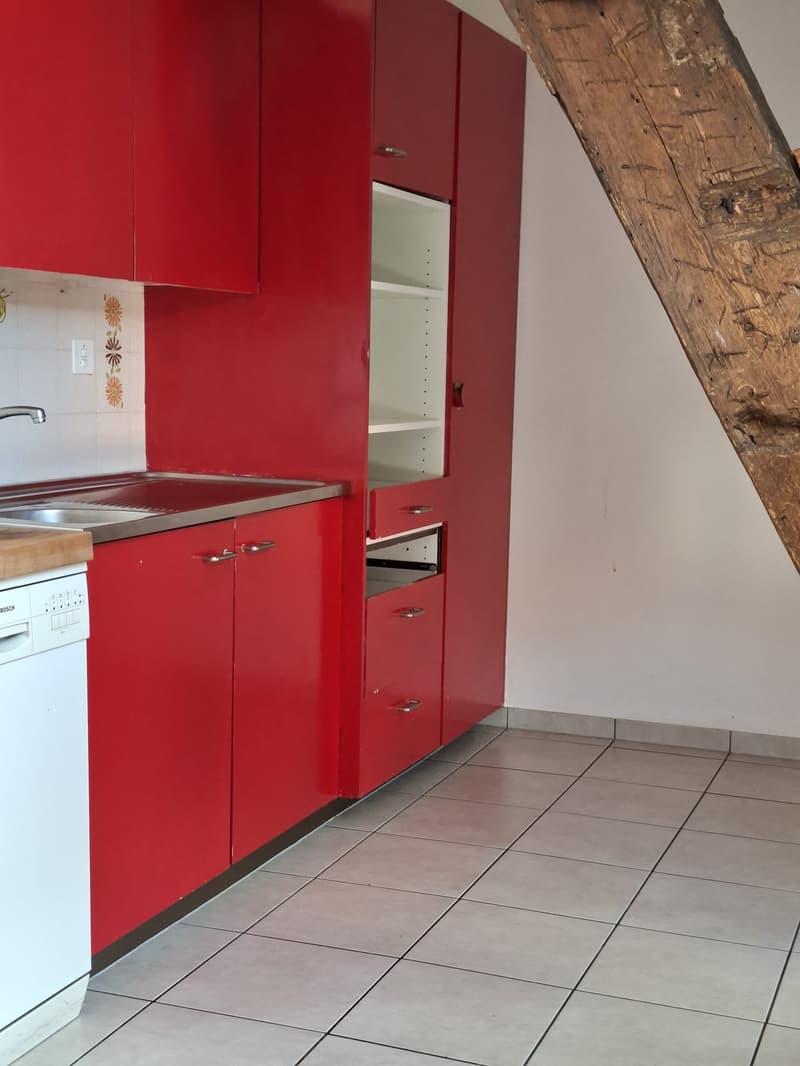Spacieux appartement de 5 pièces avec cheminée (6)