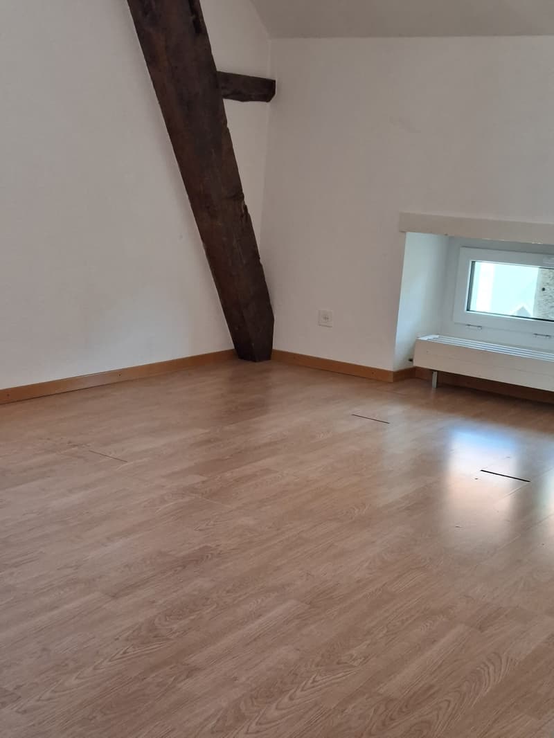 Spacieux appartement de 5 pièces avec cheminée (4)