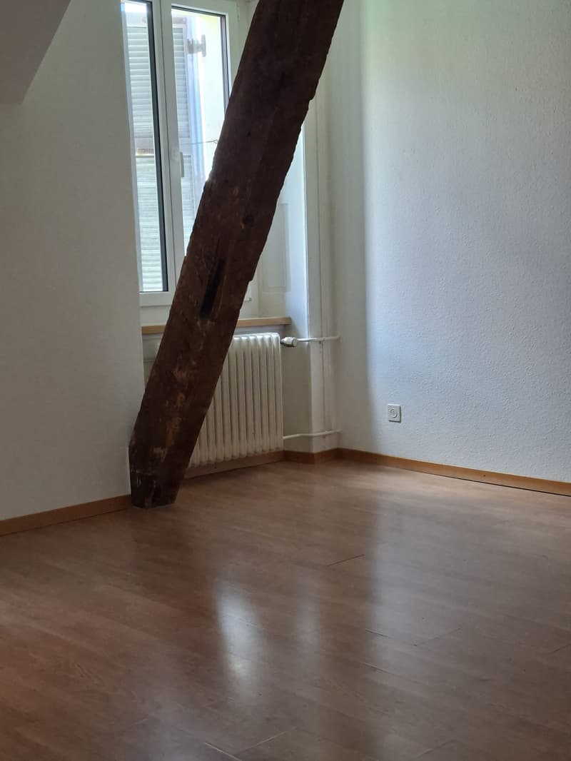 Spacieux appartement de 5 pièces avec cheminée (5)