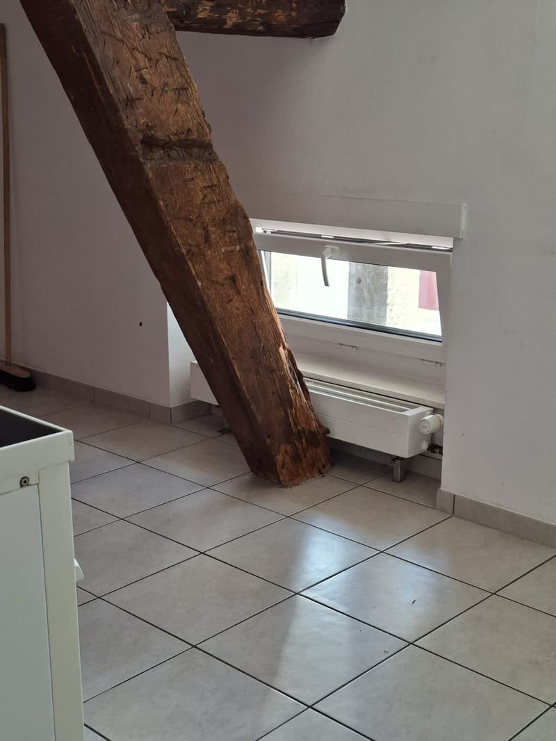 Spacieux appartement de 5 pièces avec cheminée (3)