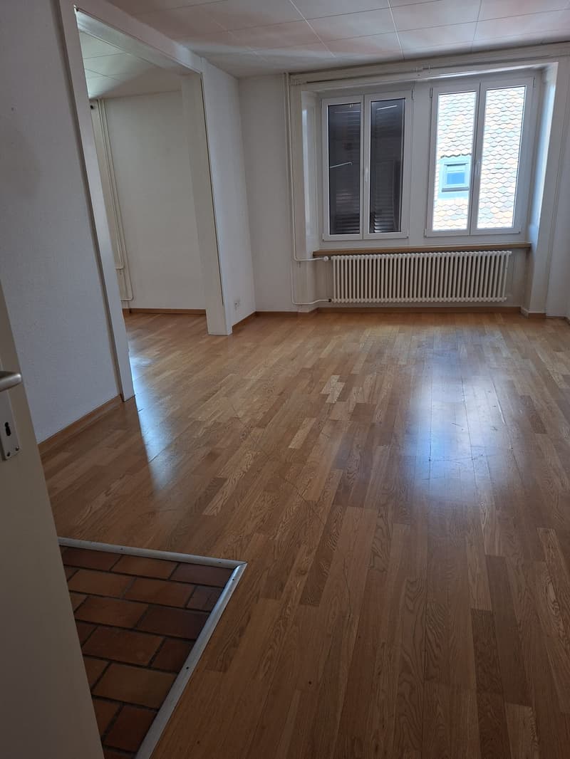 Spacieux appartement de 5 pièces avec cheminée (2)