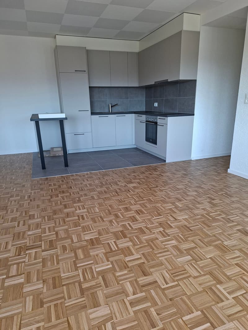 Appartement spacieux rénové cuisine neuve. Avec conciergerie (1)