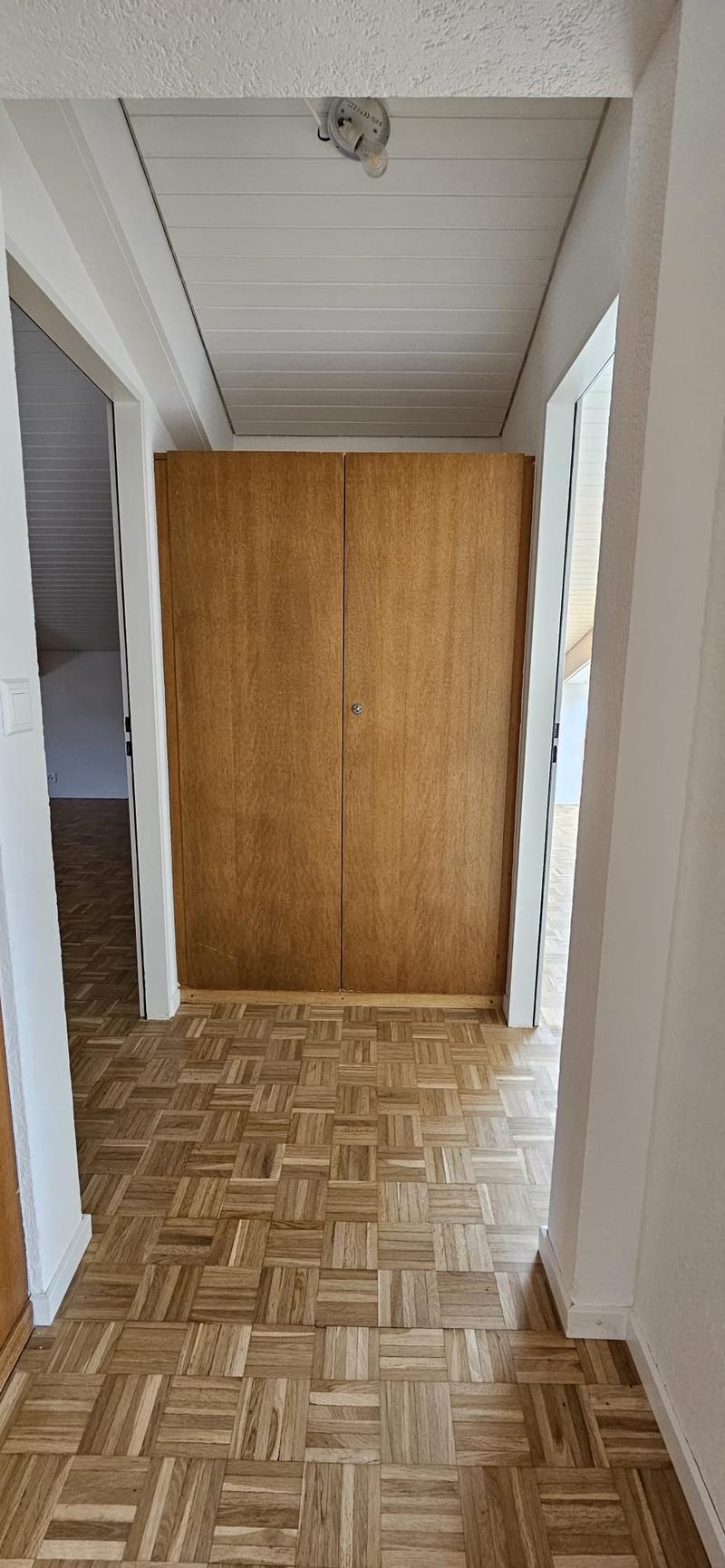 Appartement spacieux rénové cuisine neuve. Avec conciergerie (10)
