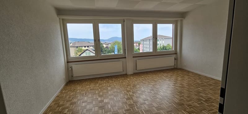 Appartement spacieux rénové cuisine neuve. Avec conciergerie (8)