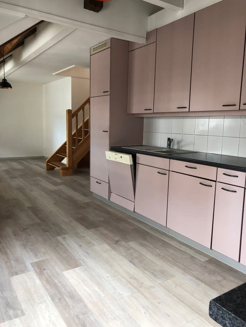 Grand 3.5 pièces en duplex proche de toutes les commodités (8)